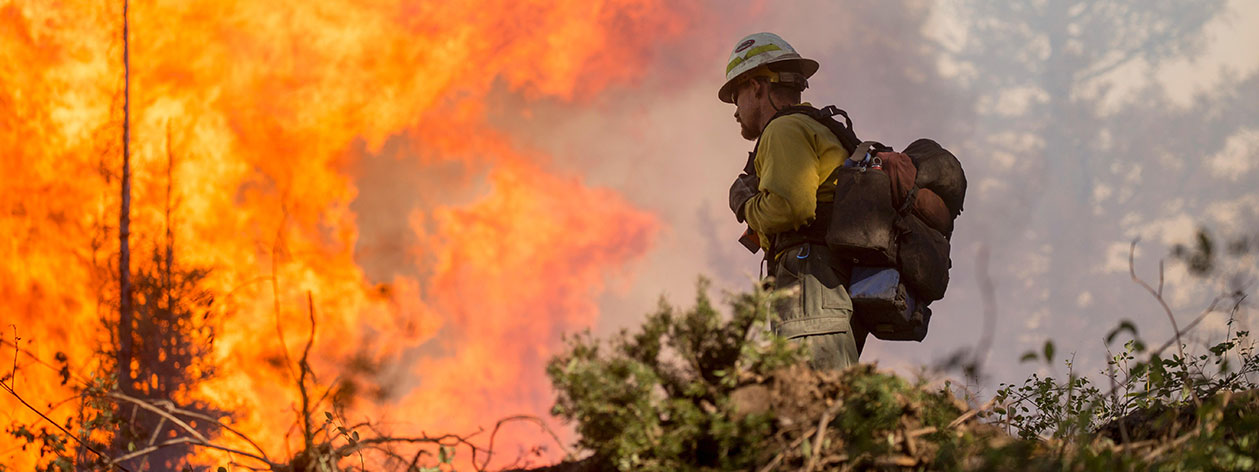 firefighter fighting a wildfire